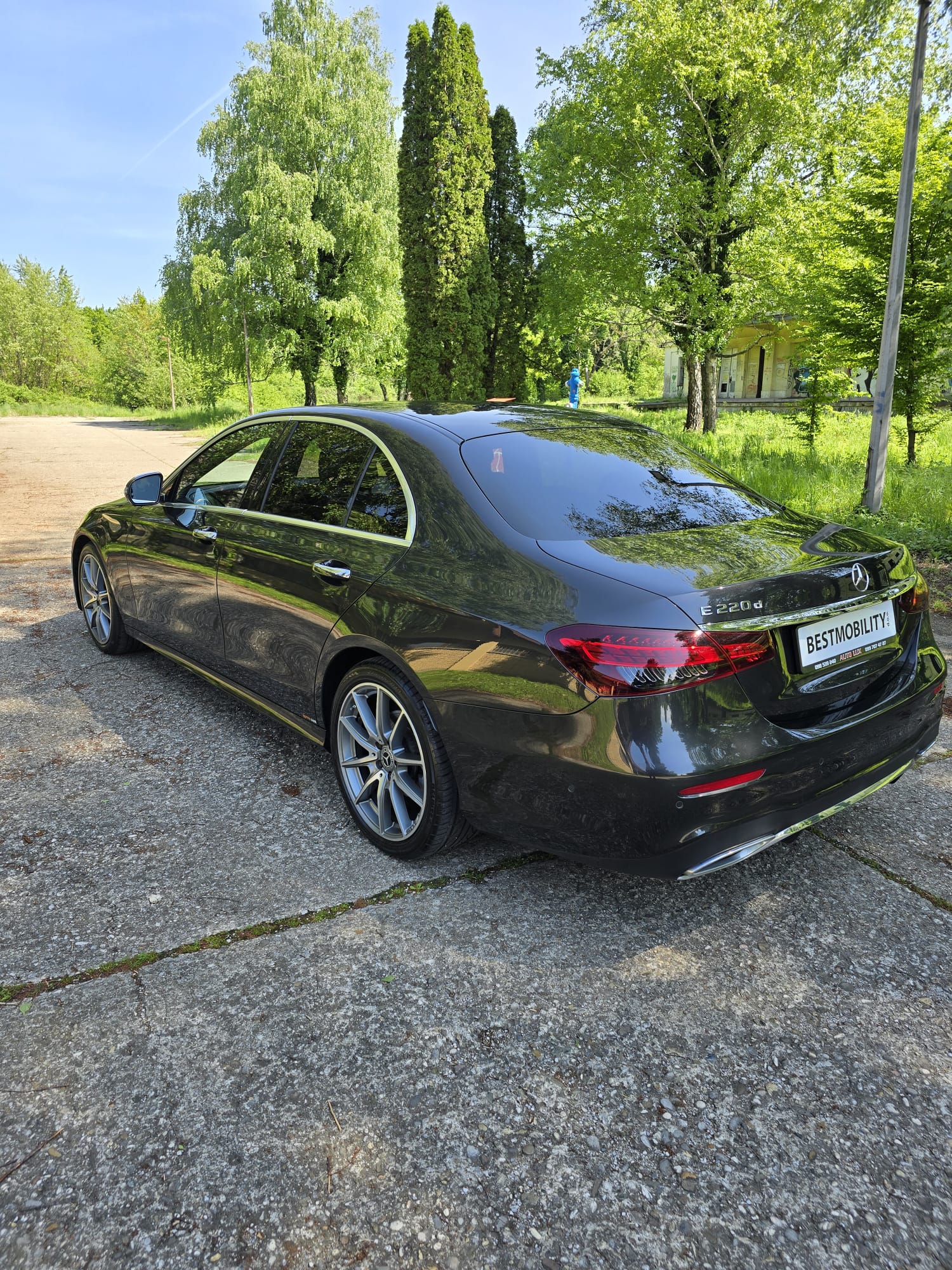 mercedes (8)